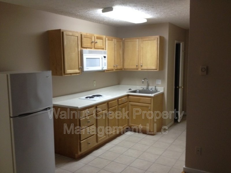 Spacious for 1 BR property image